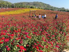 -六合国家地质公园桂子山景区