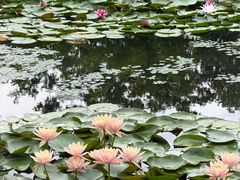 -宁波九龙湖开元度假村