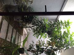 iphone_upload_pic-候鸟水榕庄度假酒店