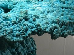 -甘肃地质博物馆