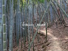 -东钱湖旅游度假区