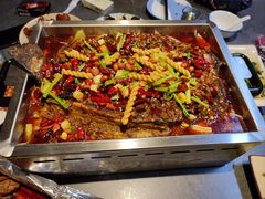 -京城·森鸽排档(双井店)