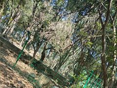 -武汉大学-桂园餐厅
