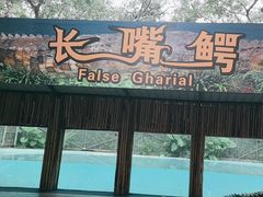 -广州长隆飞鸟乐园