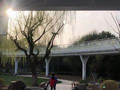 -昆山城市生态森林公园