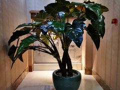 -上和臻品中国菜(花园街店)