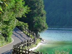 -武陵山森林公园