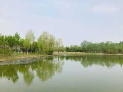 -东郊湿地公园