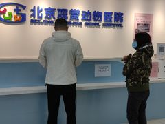 -北京观赏动物医院·24小时大型综合·猫专科·异宠专科