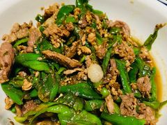 湘村黑猪辣椒炒肉-壹盏灯(惠农店)