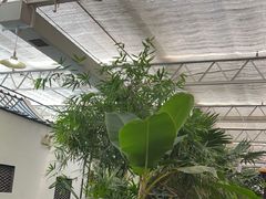 -特味村福园