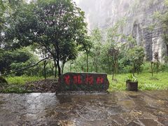 -蝶舞清江·恩施云顶景区(黄鹤峰林)