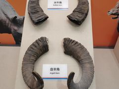 -太原动物园