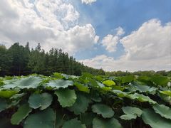 -云龙湖旅游景区