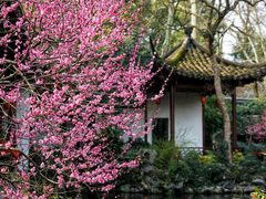 -郭庄景区