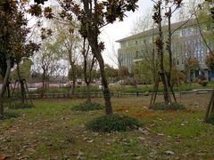-上海师范大学附属中学(三林校区)