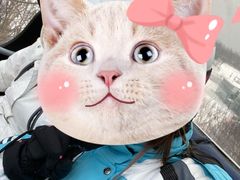 -亚布力新体委滑雪场