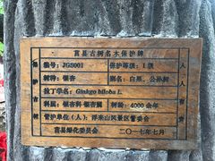 -浮来山风景区