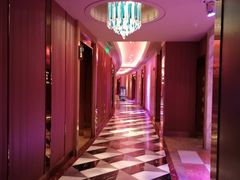 -纯K(打浦桥店)