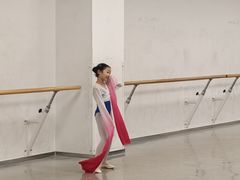 -舞蕾舞蹈(特长生校区)