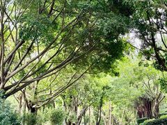 -深圳国际园林花卉博览园