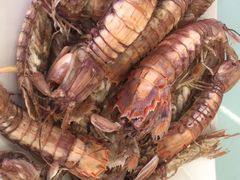 -渔民船说·北塘海鲜·天津菜·海肠捞饭(北塘古镇店)