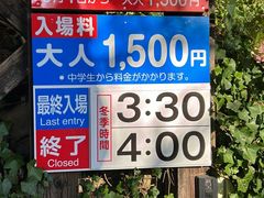 -宫城藏王狐狸村