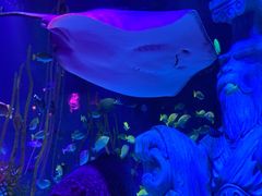 -沈阳海洋探索中心