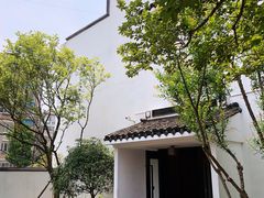 -海江5号