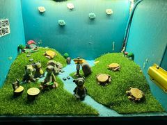 -逃脱反斗城沉浸剧情密室(北京路店)