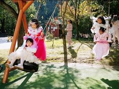 -杭州龙井幼儿园