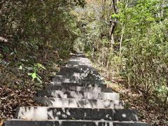 -杭州半山国家森林公园