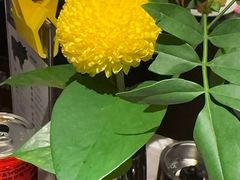 -拉蒂娜·巴西牛排馆 Latina·Brazilian Steakhouse(王府井喜悦店)