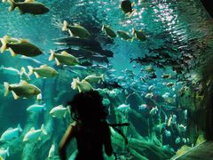 -波塞冬旅游度假区