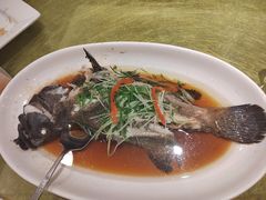 -金鮀岛潮州酒家