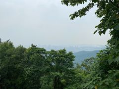-惠山国家森林公园