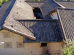 -雁南飞茶田景区