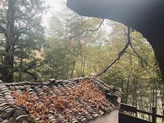 -塔川景区