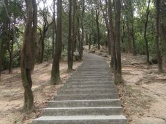 -火炉山森林公园