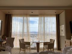 -拉斯维加斯永利酒店