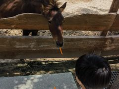 -太原动物园