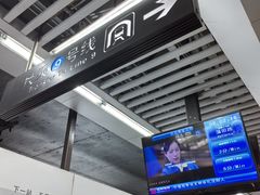 -奥体中心(地铁站)