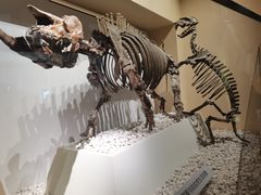 -国家自然博物馆