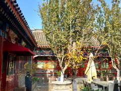 -北京古城老院厉晓麟精致菜