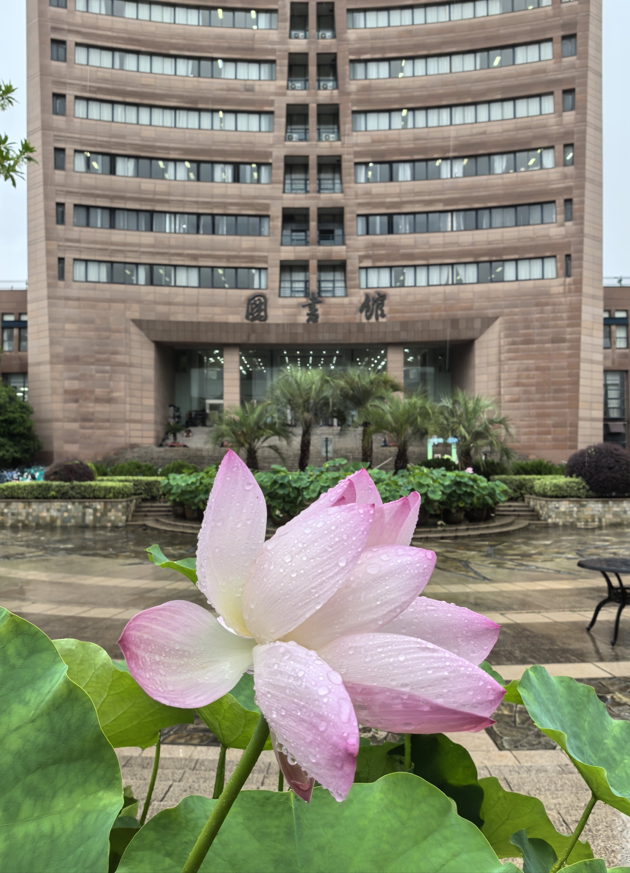 浙江电大萧山学院图片