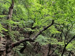 -苍岩山风景名胜区