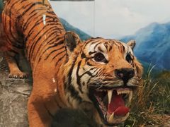 -国家自然博物馆