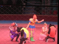 -环球城国际大马戏