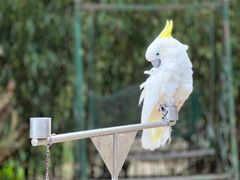 -云南野生动物园