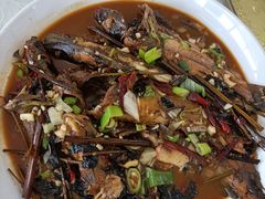 -庆岭迎宾园正宗活鱼馆